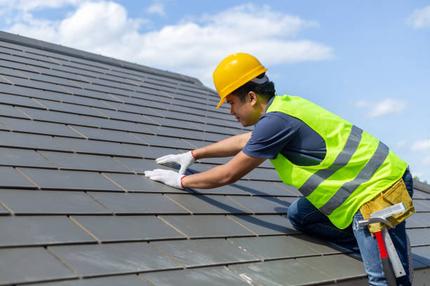 Best Storm Damage Roof Repair  in South Rosemary, NC