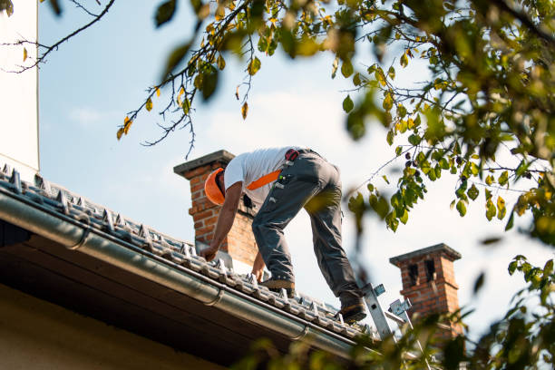 Best Best Roofing Contractors  in South Rosemary, NC