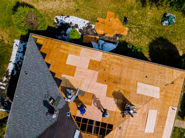 Best Roof Gutter Cleaning  in South Rosemary, NC