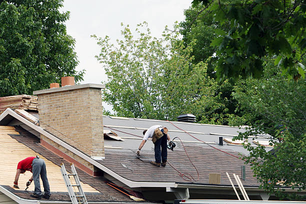 Best Gutter Installation and Roofing  in South Rosemary, NC