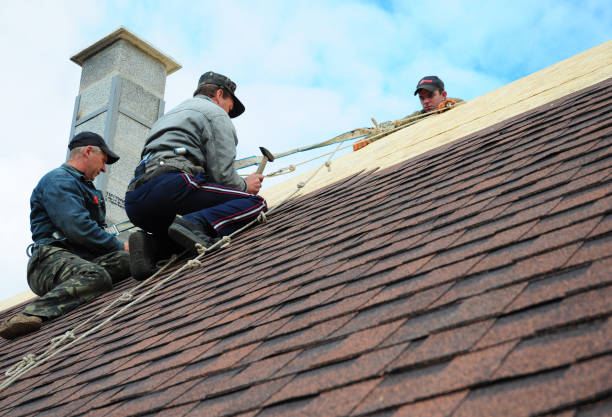 Best Storm Damage Roof Repair  in South Rosemary, NC